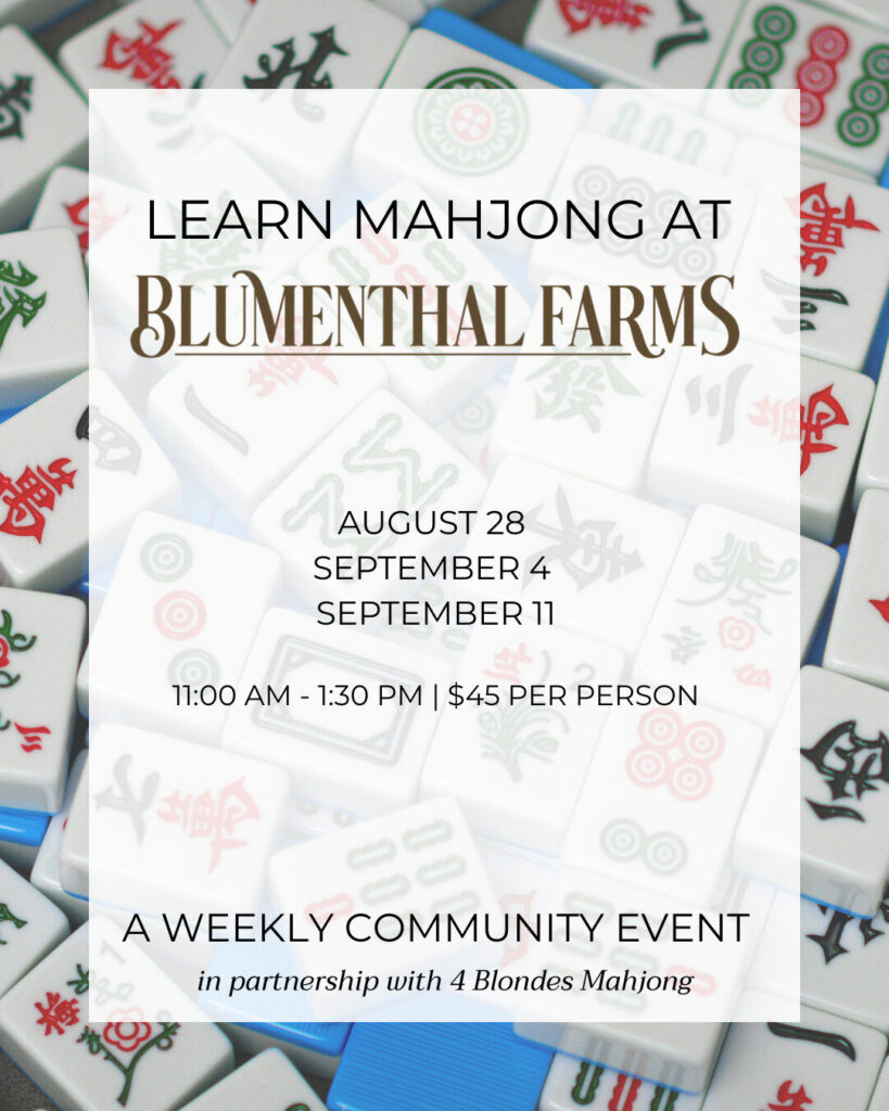 Learn Mahjong at Blumenthal Farms with 4 Blondes Mahjong.