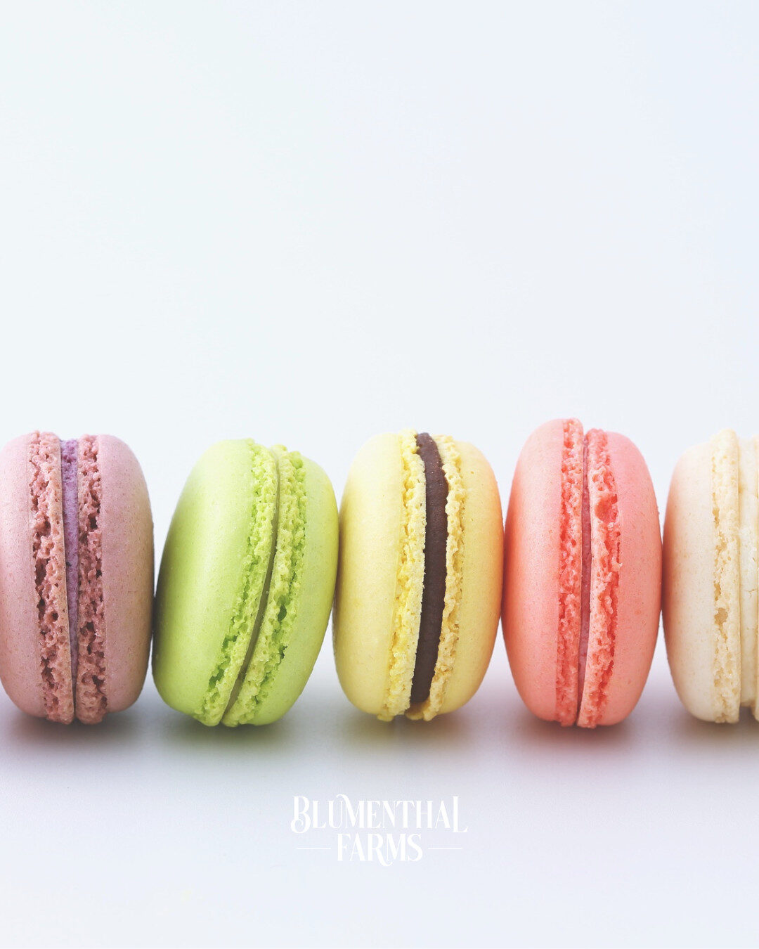 Colorful macarons in a line against a white backdrop.
